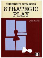 GP Strategic Play.pdf